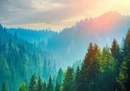 breathe....