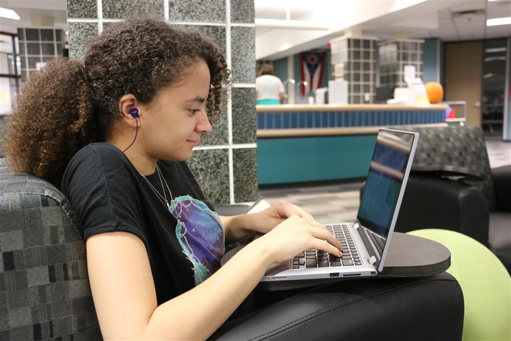 WKHS Library Image 3 of student working on laptop.